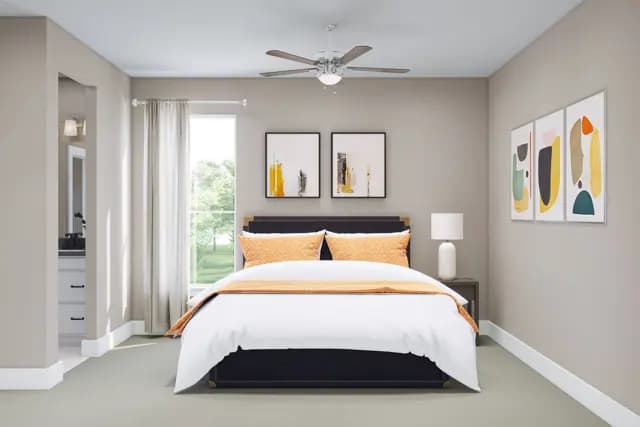 hero-image-242