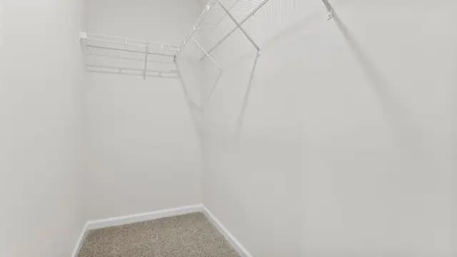 hero-image-21