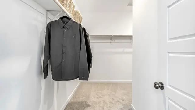 hero-image-26