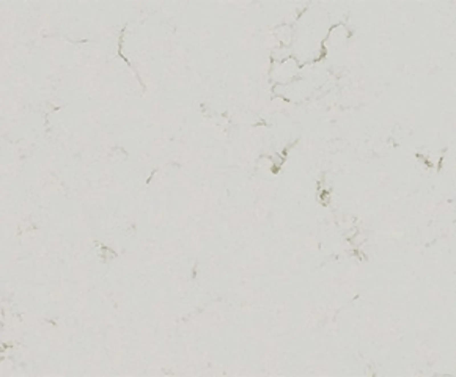 hero-image-5