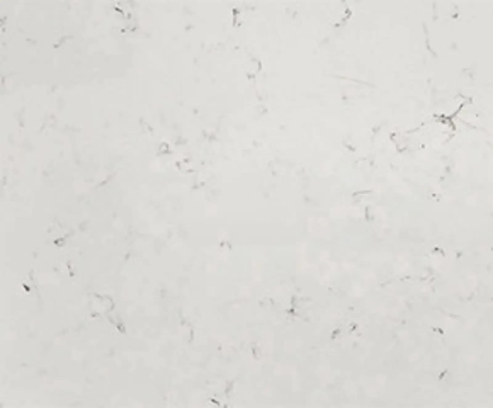 hero-image-8