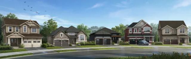 images-Shoreline Point