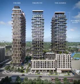 images-Forêt - The Peony