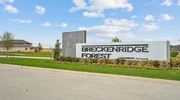 images-Breckenridge Forest