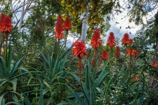 images-Novato at Del Sol