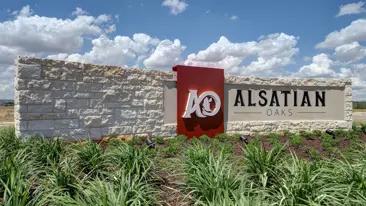 images-Alsatian Oaks 60'