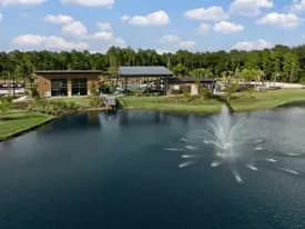 images-RiverTown - Forest