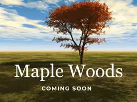 images-Maple Woods