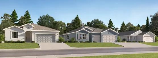 images-Rye Ranch - Executive Homes