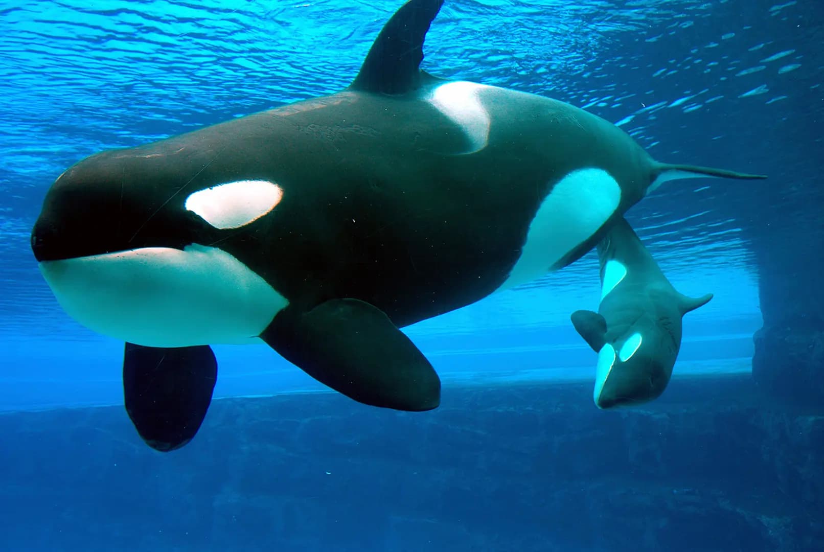 hero-image-14