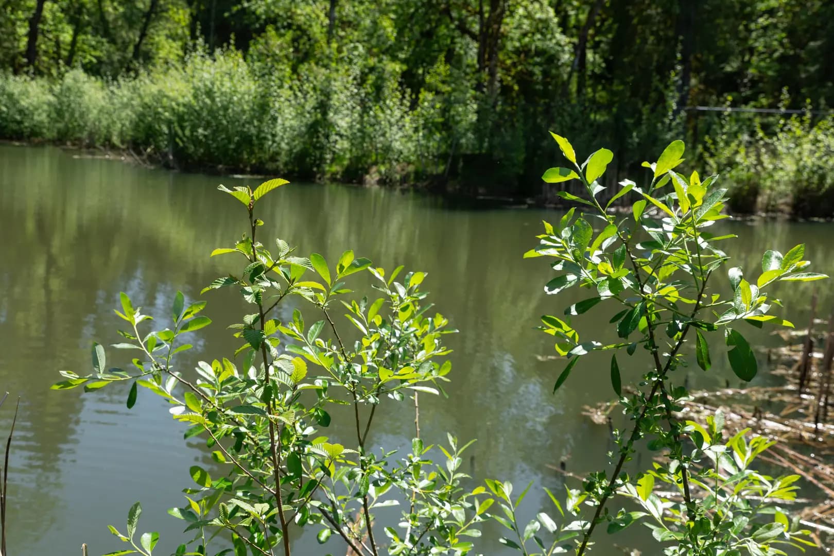 hero-image-24