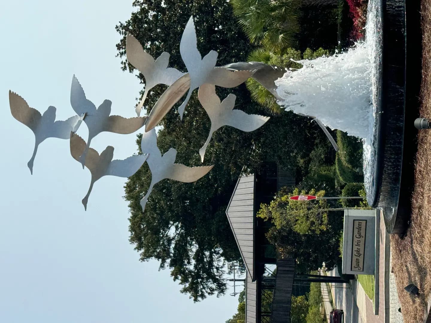 hero-image-37
