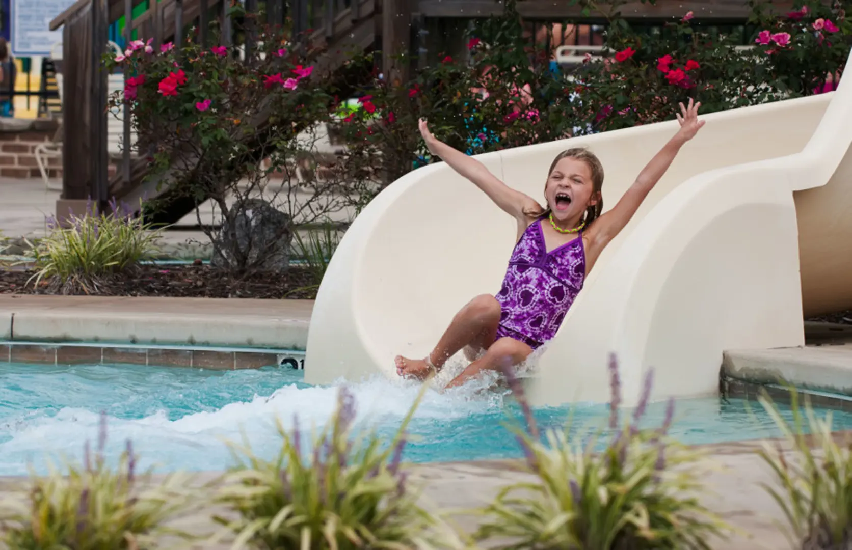 hero-image-4