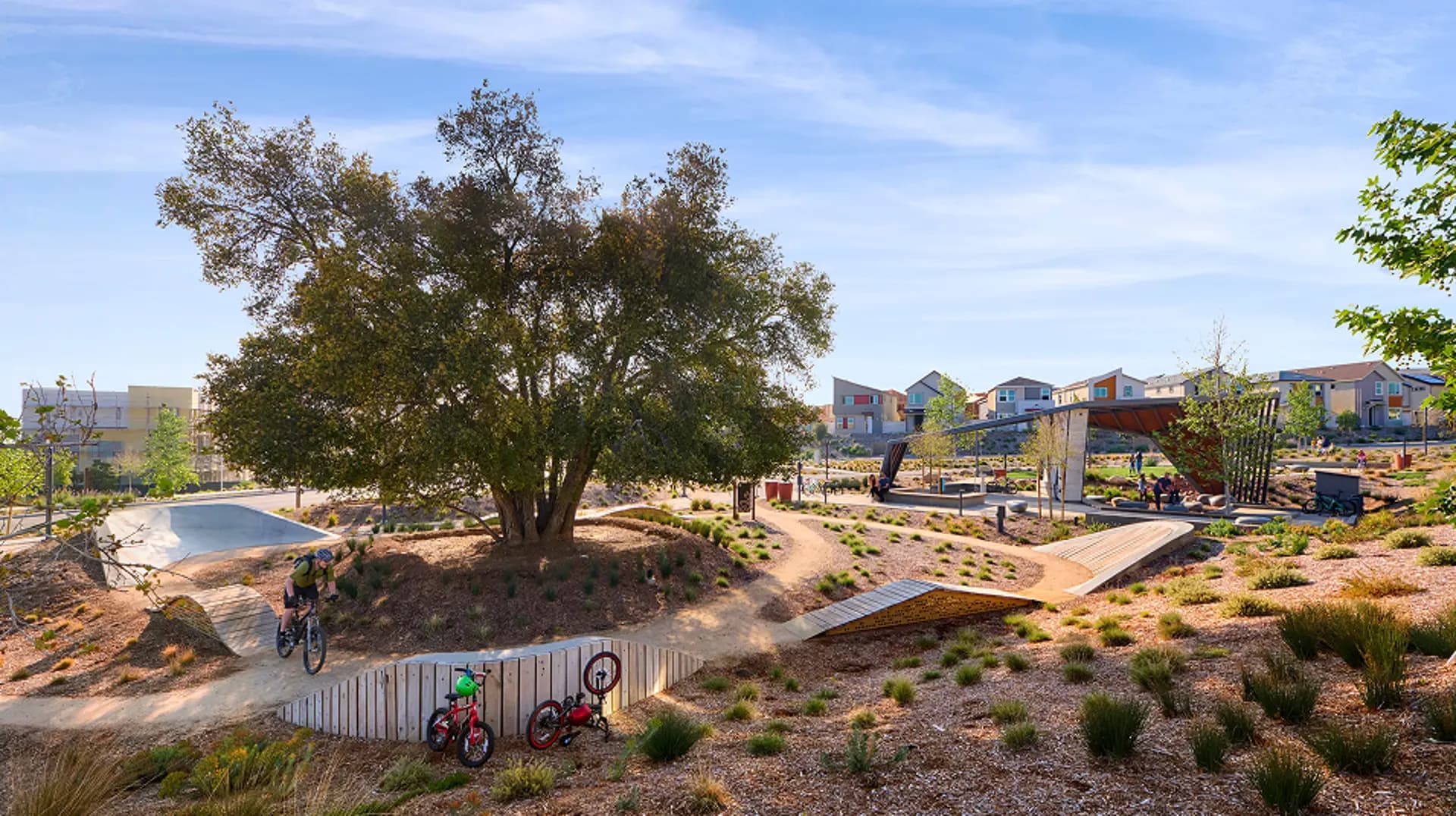 hero-image-5