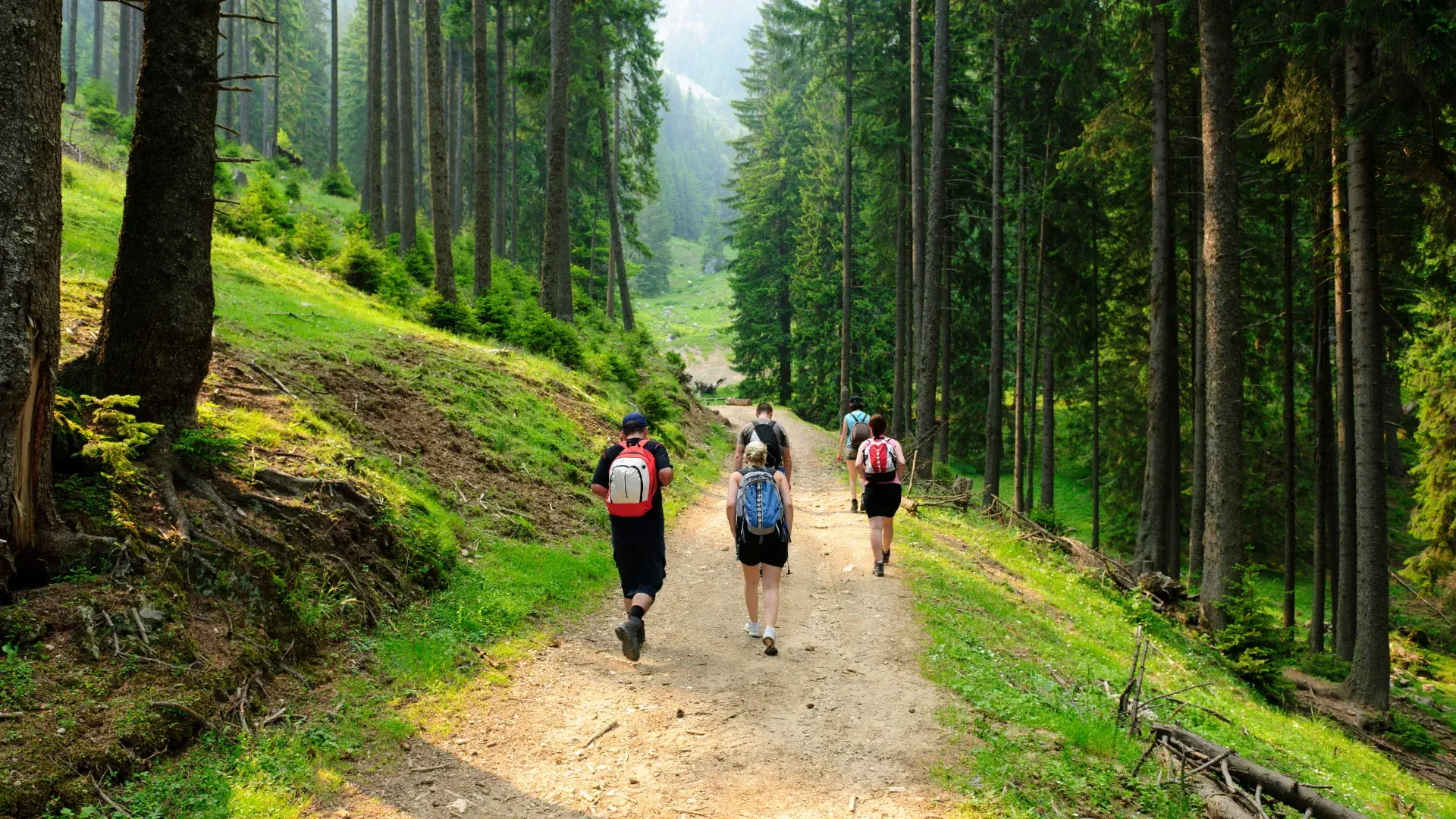 hero-image-56